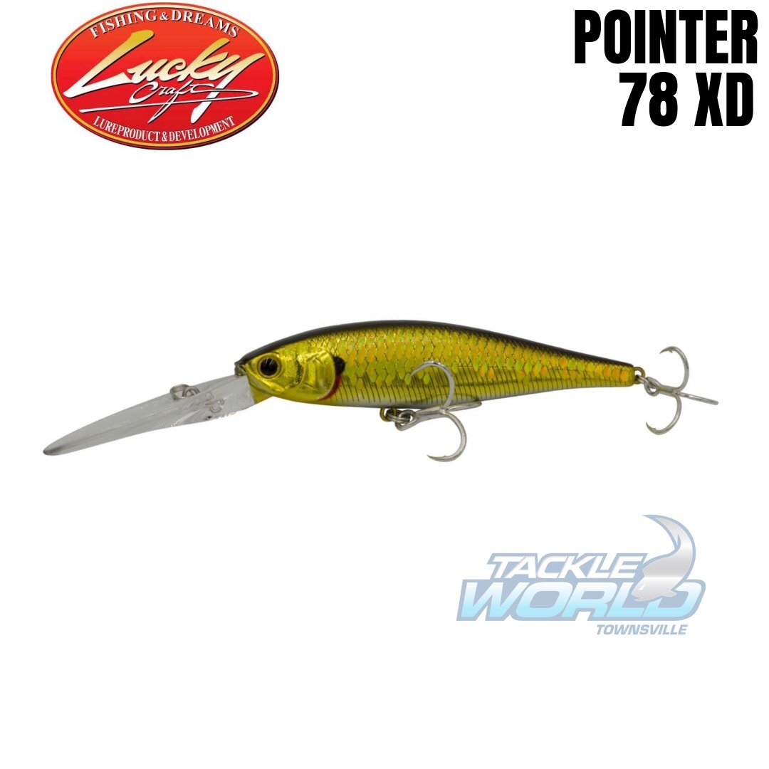 👀 some 🔥 returns from Lucky Craft - the Pointer 78 XD is back! The Pointer  78 XD is an extra deep diving jerkbait designed to get