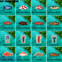 Reef Lagoon Charms FNQ Pack